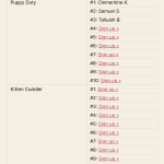 Default display mode is a table with a new row for each sign-up (filled or open).